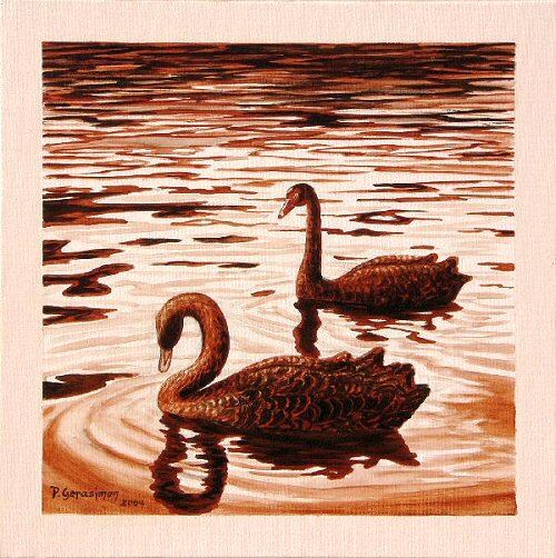 Black Swan Paintings, Pictures, Drawings, Images, Illustrations - Visit 