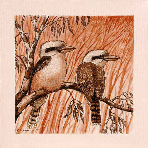 Kookaburra