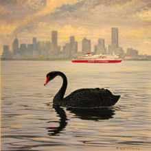 Black Swan in Melbourne 