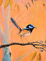 Blue Wren