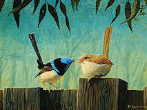 Blue Wren Bird