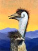 Paintings of Emus by Peter Gerasimon