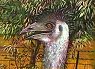 Paintings of Emus by Peter Gerasimon