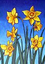 Floral Paintings by Peter Gerasimon