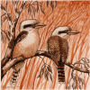 Kookaburras Acrylic Painting