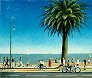 Painting of Melbourne