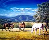 Australian Landscape Painting by Peter Gerasimon