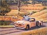 Australian Bush Paintings by Peter Grasimon