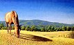Australian Landscapes, Paintings of Horses