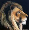 The Lion Oil Paintings by Peter Gerasimon