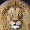 Lion Oil Paintings by Peter Gerasimon