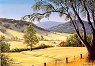 Australian Landscape Paintings