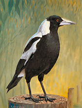 Magpie painting 