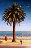 Paintings of Melbourne