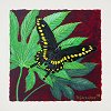 Butterfly Painting