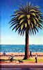 Painting of Melbourne
