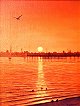 Summer Sun Set at Albert Park Beach Melbourne Painting