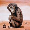 Acrylic Painting The Chimp and The Apple