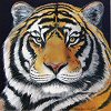 Tiger Oil Paintings by Peter Gerasimon