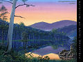  the Australian Bush
