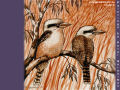 Kookaburras 