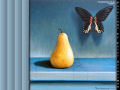 Still Life Painting by Peter Gerasimon