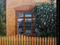 Architecture, Window Painting