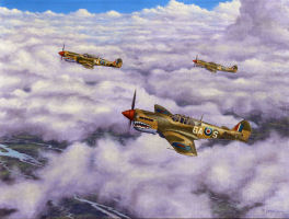 The Australian Kitty Hawks