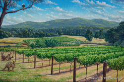 Sunday at the Vineyard